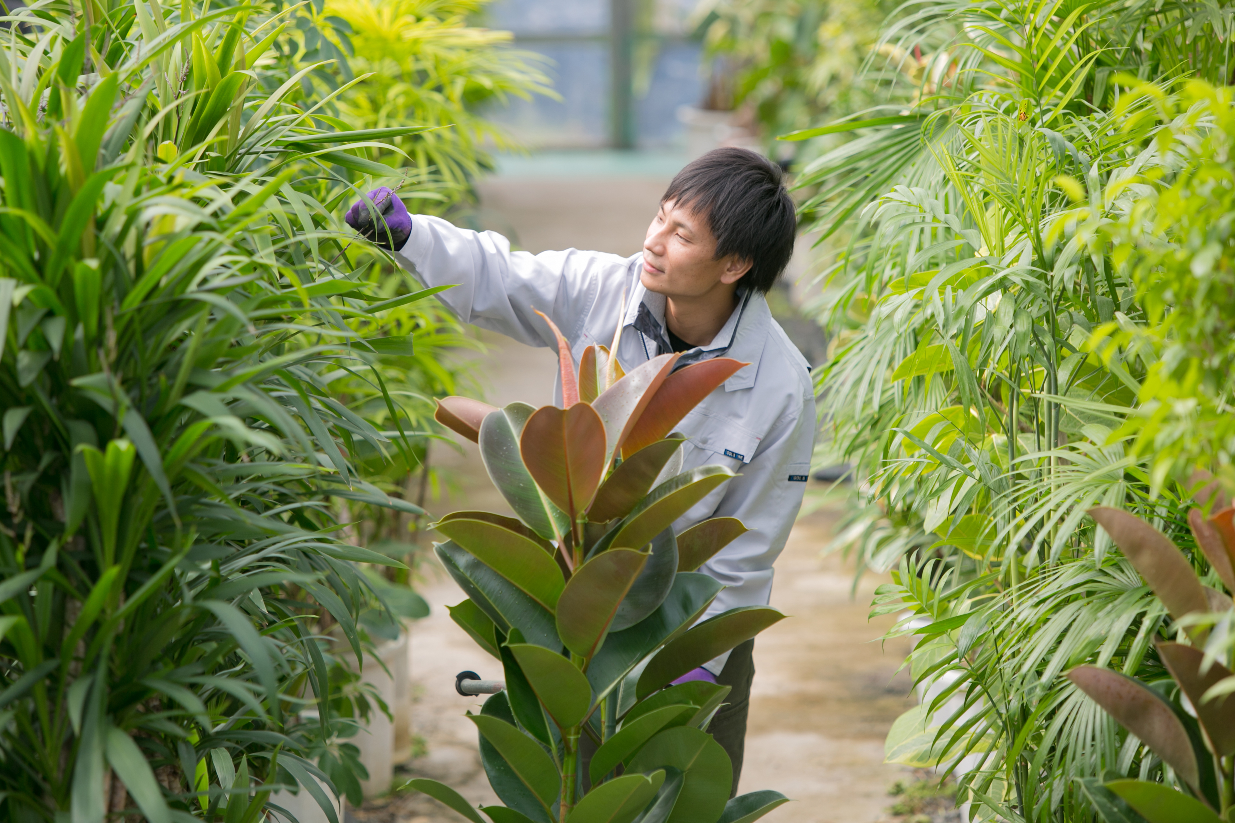 免震・耐震・制震技術